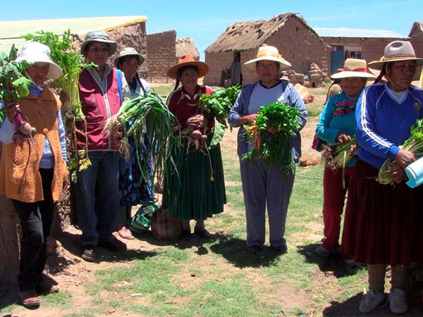 Desarrollo productivo de comunidades andinas Fase III PER 73859, 2019