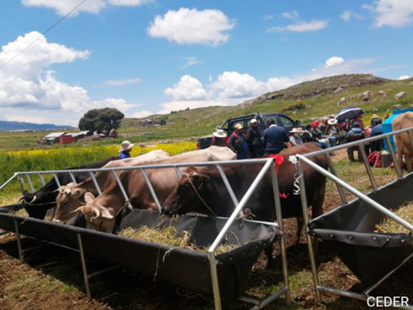 Micro Proyecto Fortalecimiento de la organización y la producción de la asociación de productores agropecuarios de leche fresca y derivados lácteos de Yasin