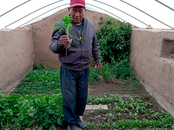 José Nestor Pari Huacani:“Con la inseminación incrementamos nuestro ganado, mejoramos la calidad de la leche con ayuda de los profesionales de la ONG CEDER”