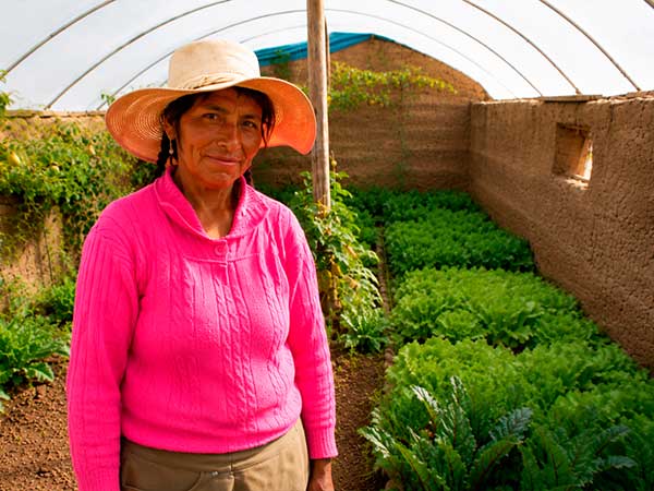 Pina Rosa Yutra Quispe