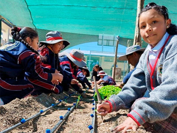 Transformando Vidas, Sembrando Futuro (2025 – 2028)